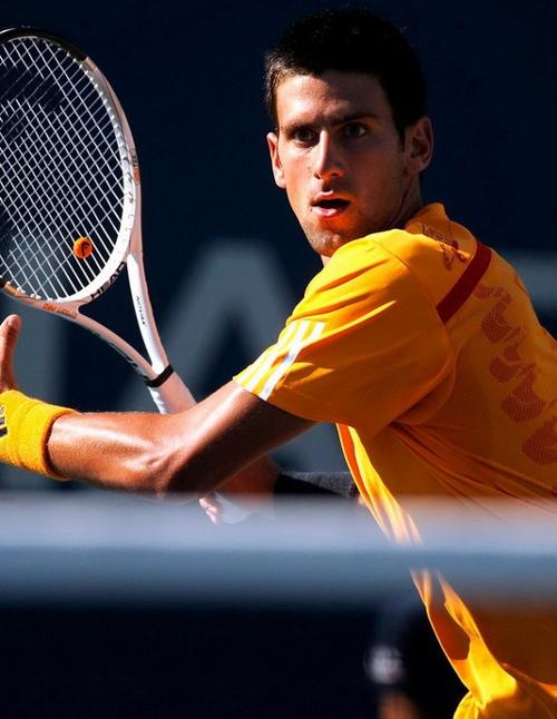 的长期表现 的长期表现