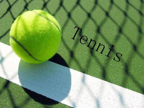 数据统计显 数据统计显