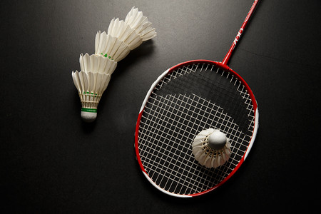 她的表现将 她的表现将